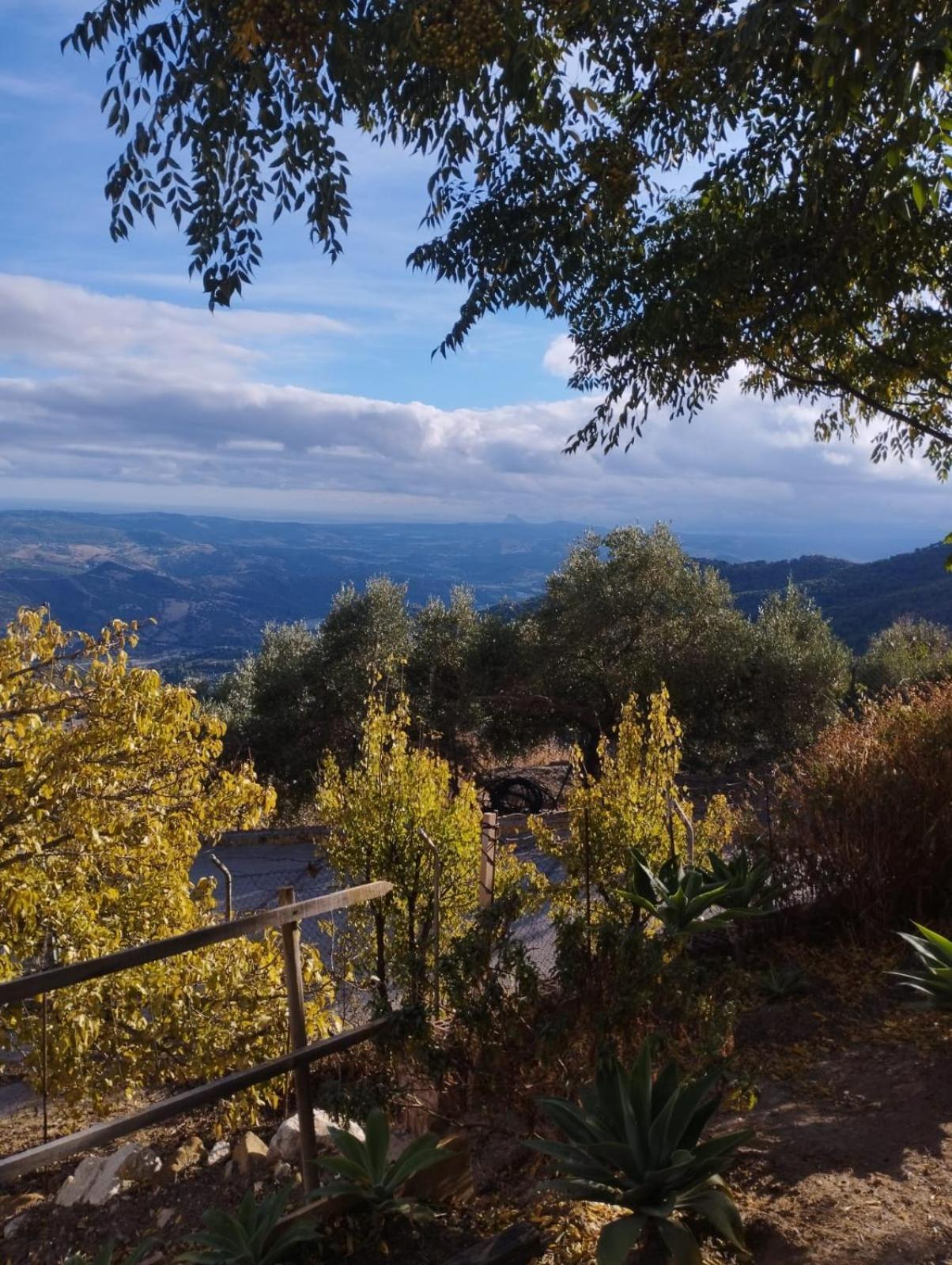 Hostal Brenaverde Gaucín Exteriér fotografie